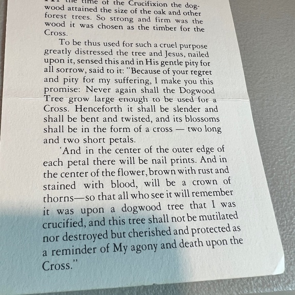 Stuart Nye Silver Pine Cone French Wire Earrings - Picture 6 of 8